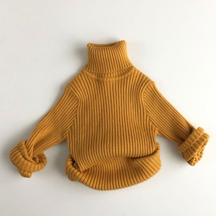 Snuggly Autumn Turtleneck Cotton Sweater